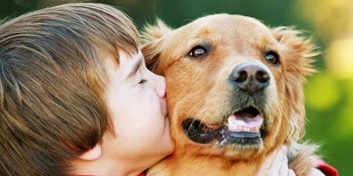 menino beija cachorro e fica infectado com parasitas